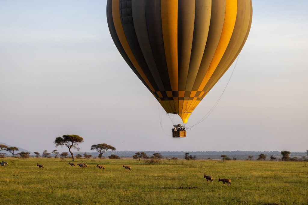 A yellow and black hot air balloon drifting close over a grassy savanna as a small herd of topi antelope grazes below.