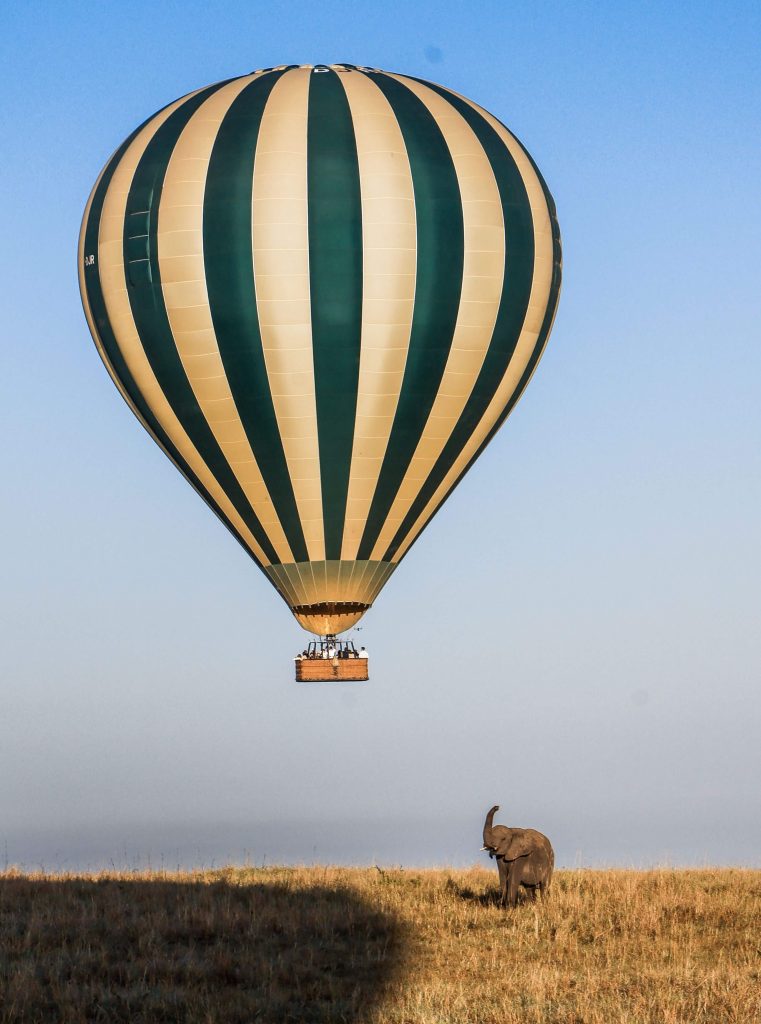 A low-angle shot of a green and cream striped hot air balloon hovering in a blue sky above a single elephant standing in tall dry grass.