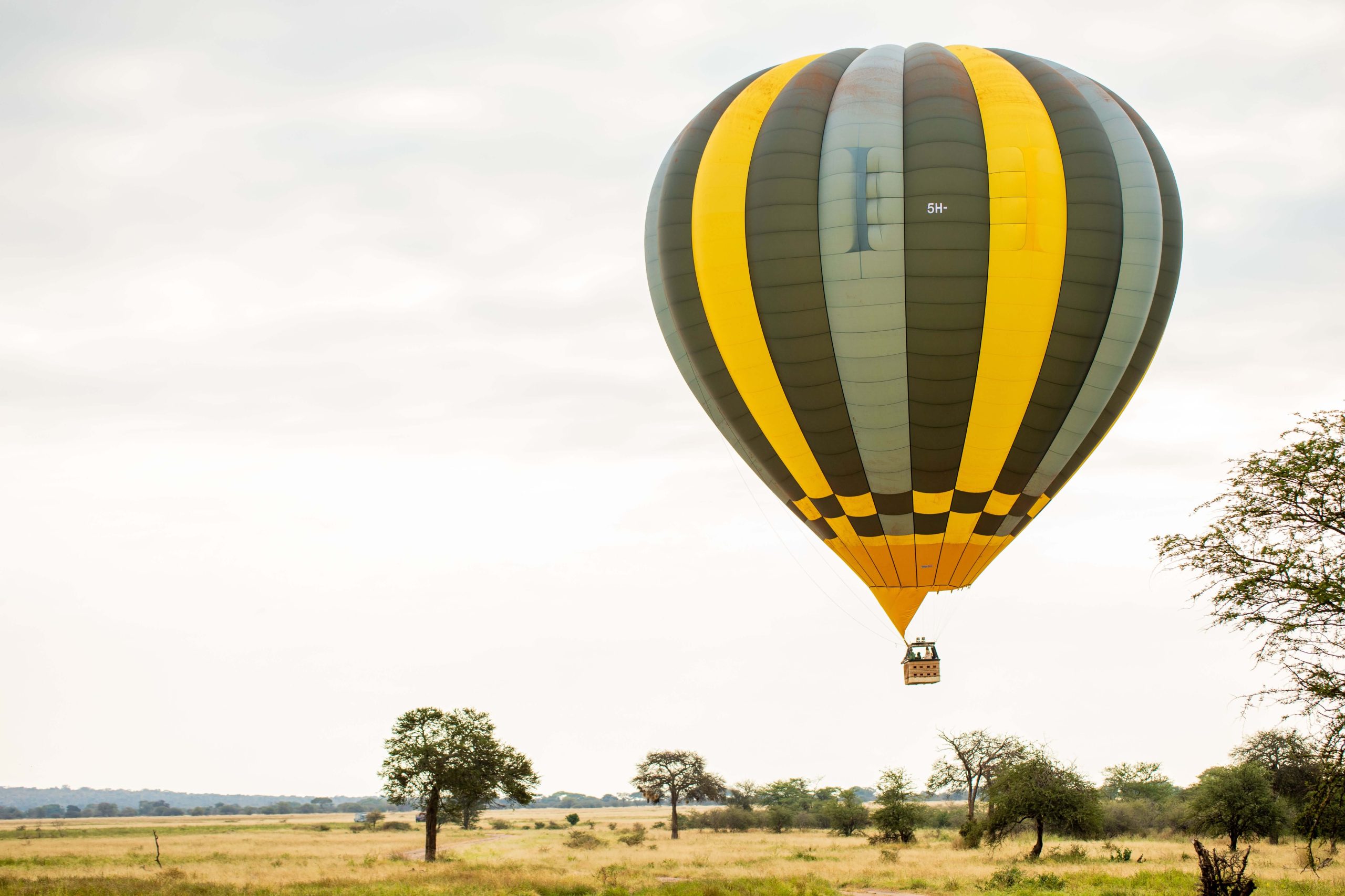 A close-up view of a yellow and dark green striped hot air balloon gliding low over an open savanna plain.