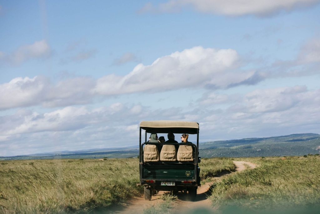 Open-top safari vehicle driving along a dirt road through the open Serengeti grassy plains